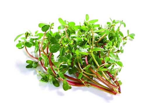 �����ȵ�����-�����ȵĹ�Ч������