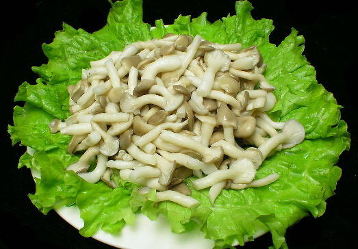 ������Ӫ����ֵ-����������