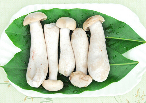 �𸣹�������-�𸣹��Ĺ�Ч������