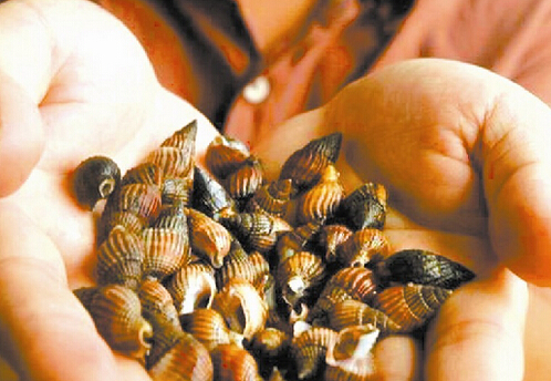 ֯���ݵļ��-֯���ݵ�����