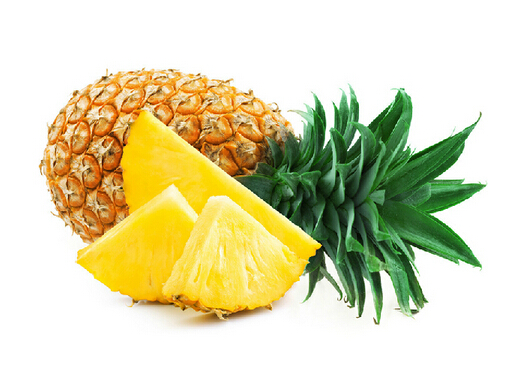 �������Ѹ�������-��������ʳ��