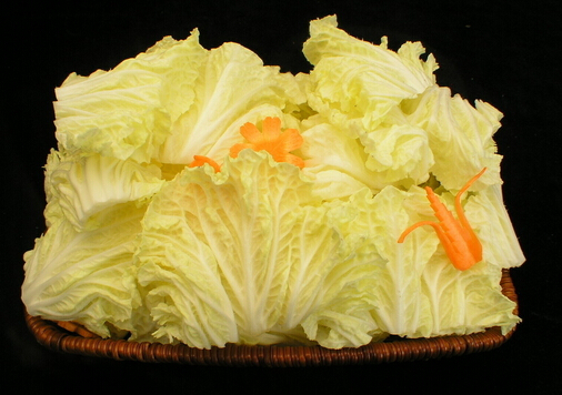 �ײ����ų�Ӫ������-�����԰ײ˵ķ���