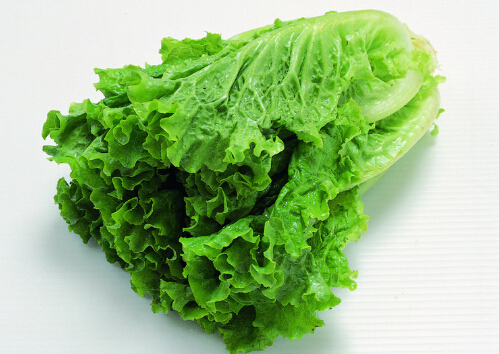 ����ƻ��֭������-�����������μ���