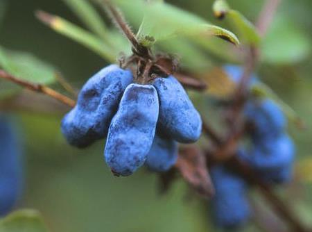 �������ô�ԣ����������ע������