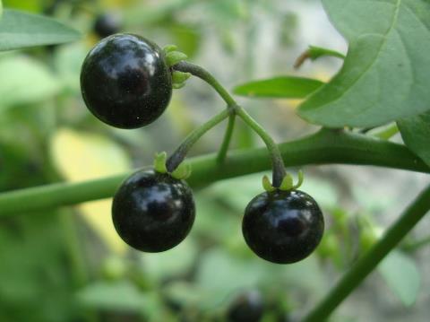 ������ô�ԣ���������ע������