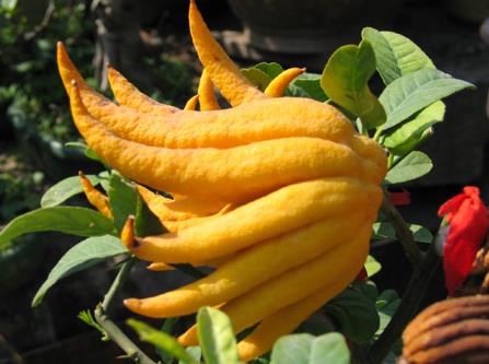 ������ô���óԣ����ֵ�������ȫ