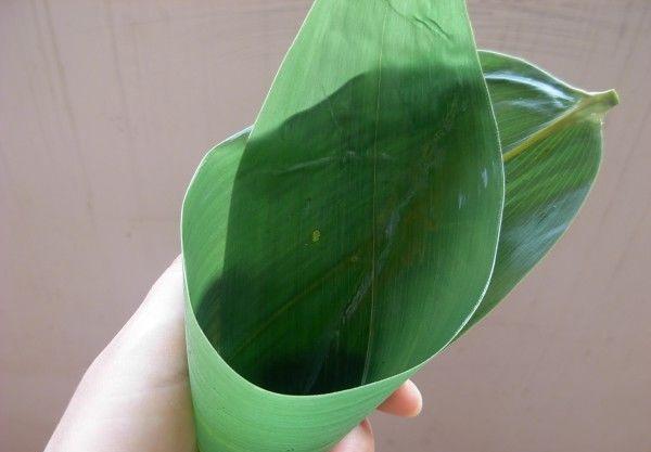 ���������������ȫ ������������ϣ��������ӵ���ϸͼ�Ĳ��裩