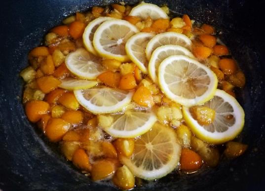 怎样熬金桔膏才止咳?金桔熬冰糖的做法