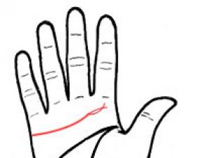 手相算命图解：爱情美满的手相