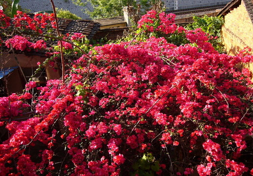 �컨�Ĺ�Ч������-�컨�Ľ���