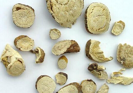 苦参的介绍-苦参的功效与作用