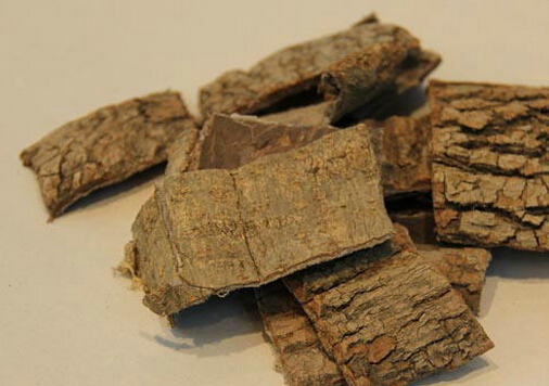 ���ٵ������빦Ч-���ٵ�ʳ�÷���