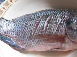 ����ʲôʱ������ ���㼸������