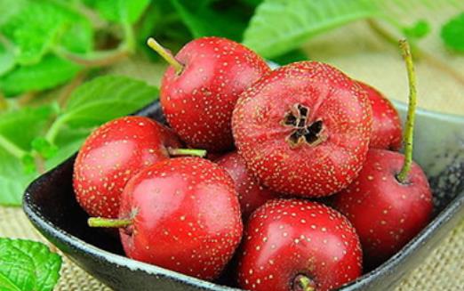 山楂什么时候吃效果好 山楂最佳食用时间