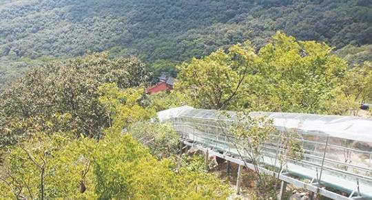 皇藏峪景区飞翔滑道什么时候开放 皇藏峪景区飞翔滑道开放时间