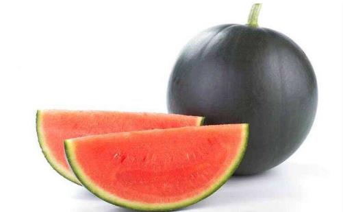 四、黑皮西瓜.jpg