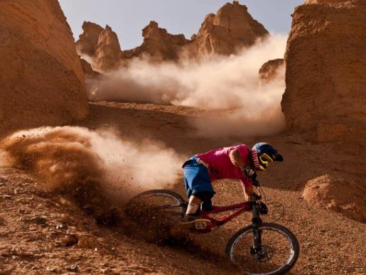 北美十大纪录电影排名,可爱的动物、地球公民很贴合实际