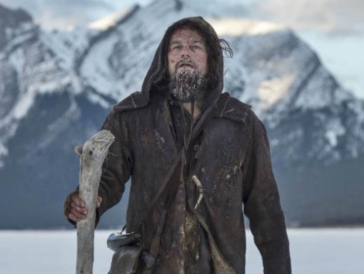 世界十大荒野求生电影排名,少年派的奇幻漂流、127小时很不错