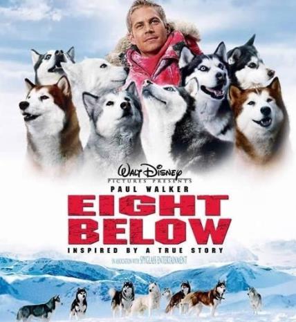 世界十大荒野求生电影排名,少年派的奇幻漂流、127小时很不错