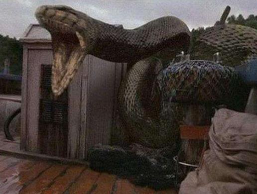 亚马逊探险电影排名,狂蟒之灾、刚果惊魂都很刺激