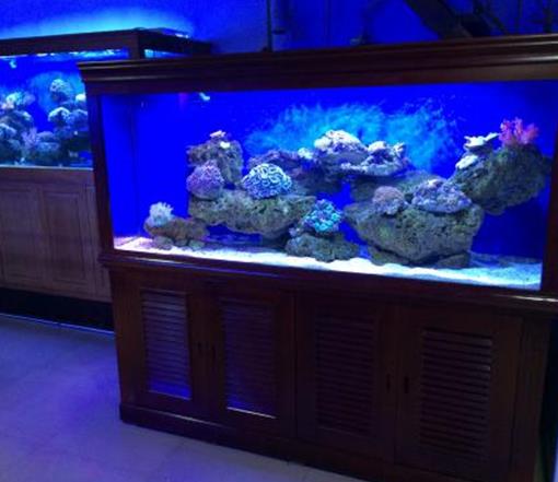 十大鱼缸过滤器排名,森森、疯狂石头的品牌都不错