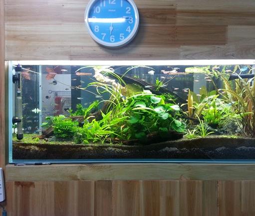 十大鱼缸过滤器排名,森森、疯狂石头的品牌都不错