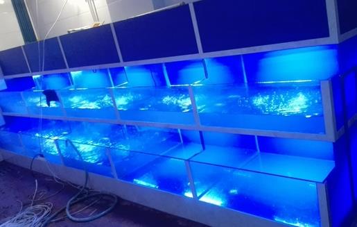 十大鱼缸过滤器排名,森森、疯狂石头的品牌都不错