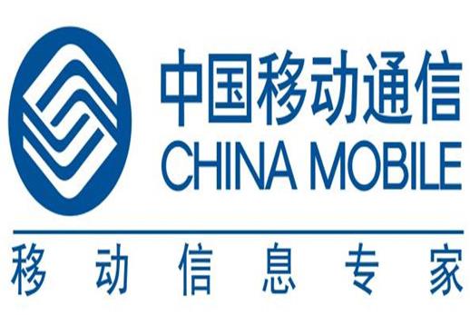 中国五大巨头公司排名,中国石油化工集团有限公司实力超群