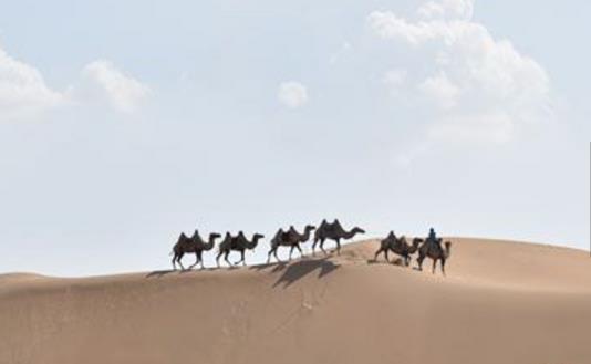 内蒙古鄂尔多斯十大旅游景点排行榜 鄂尔多斯有什么好玩的地方