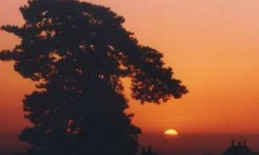 内蒙古鄂尔多斯十大旅游景点排行榜 鄂尔多斯有什么好玩的地方