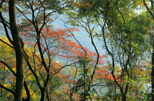 广西省百色市十大旅游景点排行榜 百色有什么好玩的地方