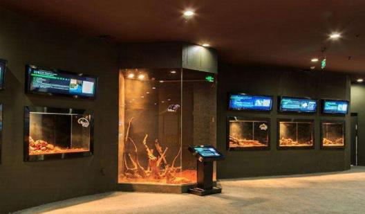 台湾台北市十大旅游景点排行榜 台北市有什么好玩的地方