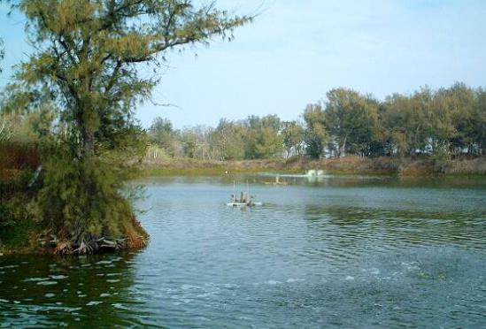 台湾嘉义十大旅游景点排行榜 嘉义有什么好玩的地方