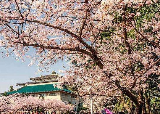 �人ӣ��5�»�����3�·��人��ӣ��������