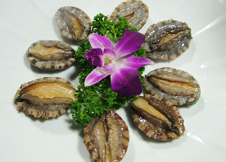 �����Ӫ����ֵ-�����ʺ�ʲô�˳�