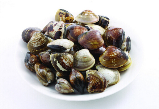 河蚌怎么洗?河蚌的营养价值