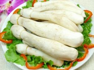 鸡腿菇的家常做法-鸡腿菇的功效与作用