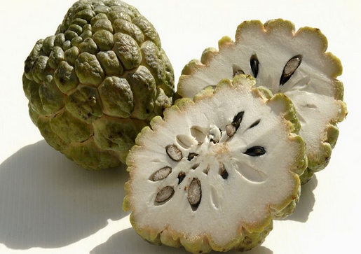 ���ȹ���Ӫ����ֵ-���ȹ���ô�ԣ�