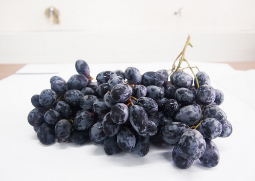 �������ֲ����-ʳ�ú����ע������