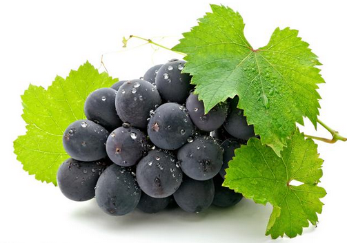 ʳ�þ޷����ѵ�ע������-�޷����ѵĹ�Ч������