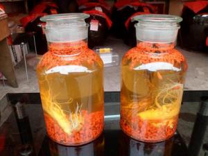 枸杞酒的制作方法-枸杞酒的功效与作用