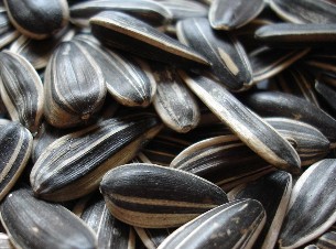 �����ѣ����ӣ���Ӫ����ֵ