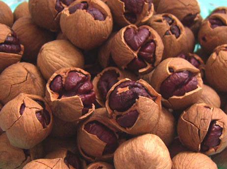 ɽ���ҵ�Ӫ����ֵ-��ɽ���ҵĺô�