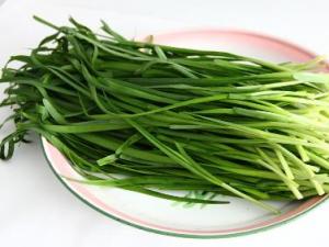 春天吃韭菜的好处-吃韭菜有什么禁忌