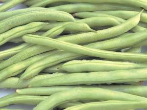 豆角的营养价值-豆角的功效与作用