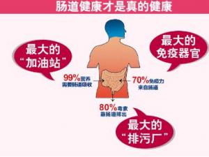 益生菌有必要买吗？益生菌的作用