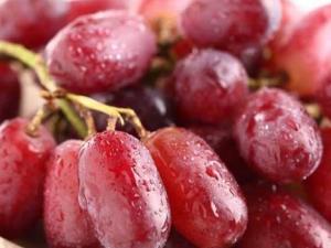 ���ӵ�Ӫ����ֵ ���ӵĹ�Ч������ ����Ƥ�Ĺ�Ч������