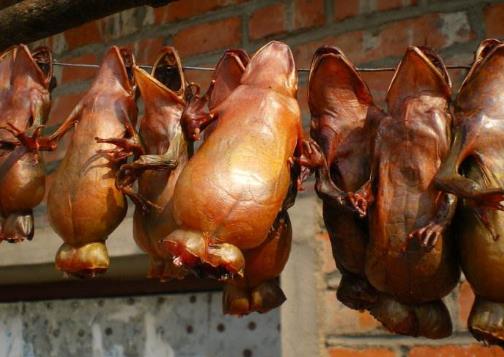 中国林蛙(雪蛤)的功效与作用 林蛙油的功效与作用及食用方法