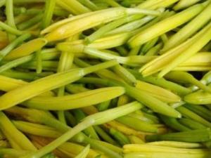 ���ʵĻƻ����ж��𣿻ƻ�����ô�Ժ� �ƻ��˵�Ӫ����ֵ