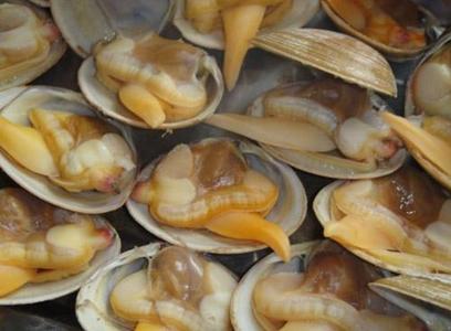 黄蚬子怎么吐沙子?怎么让蚬子吐沙子?黄蚬子的清洗方法